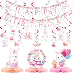 26 Pcs Easter Bunny Birthday Party Decorations Kit Supplies Bunny Birthday Ba…