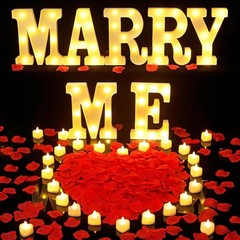 Stunning 2031-pc Marry Me Proposal Set with Letters, Candles & Rose Petals