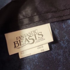 Fantastic Beasts & Where to Find Them 30×50 Banner Loot Crate Harry Potter