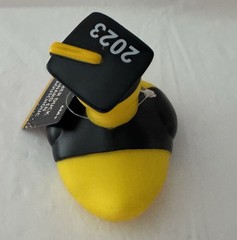 2023 Graduation Plastic Duck – You Did It