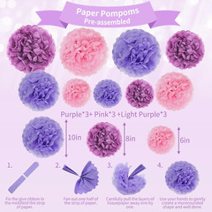 Purple Pink Birthday Decoration Set with Banner, Pompoms, Tassel for Party Decor