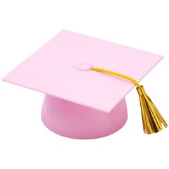 Pink Plastic Graduation Cap Cake Topper Large Paper Diploma Party Decor