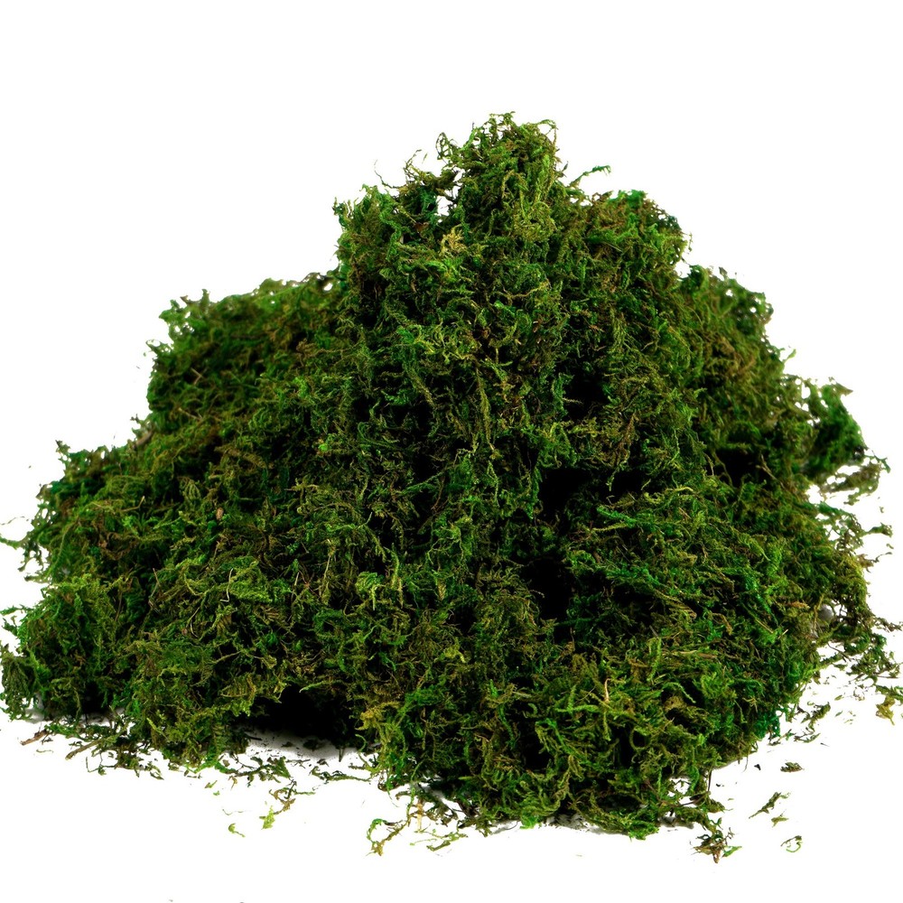 BYHER Artificial Moss Fake 10 inches x 4 x 3 inches, 3.5oz, Fresh