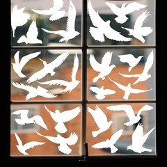 37Pcs Anti Collision Window Clings, Save The Birds from Strikes, White