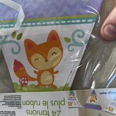 Woodland Welcome Animal Critter Cute Baby Shower Party Decoration Pennant Banner