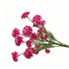 Carnations Silk Artificial Flowers with Stems 43 cm Assorted Color Bundle