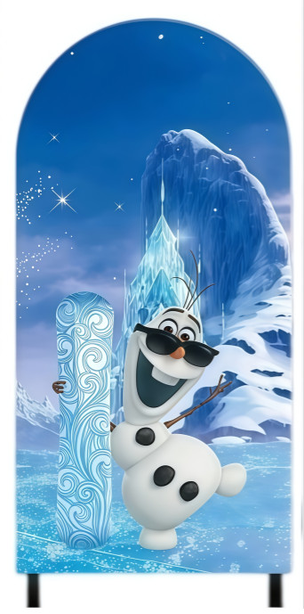 Anna Elsa Frozen Arch Cover Birthday Backdrop Personalised Background Decor