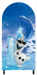 Anna Elsa Frozen Arch Cover Birthday Backdrop Personalised Background Decor