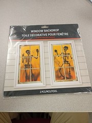 Skeleton’s Window Silhouettes Door Cover Halloween Horror Scene 33.5×65