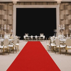 33ft Red Carpet Runner Hollywood Birthday Party Decoration Nonslip Runway Rug