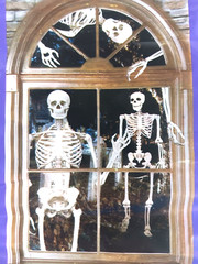 Halloween Wall Mural Skeleton Happy Halloween Horror Scary 42 x 72″ Decoration 