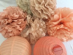 Hanging Party Decorations Tissue Paper pom poms and Lanterns Backdrop Decor