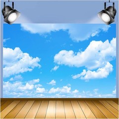 Blue Sky White Clouds Backdrop Photo Background Birthday Baby Shower Party Decor