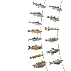 Fishing Birthday Party Decoration Fish Shape Hanging Ornament For Retirement