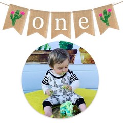Cactus High Chair Banner for 1st Birthday, Hawaii ONE High Chair First Birthd…