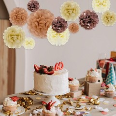 20 PCS Tissue Paper Pom Poms Set Mixed Colors Flowers Decor 6/10/12/14 Inch