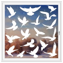 37Pcs Anti Collision Window Clings, Save The Birds from Window Strikes, Warn Bir