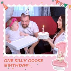 Cute Pink Silly Goose Candle – Ideal Cake Topper for 1st Birthday Celebrations