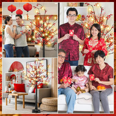 5 Ft Lighted Lunar New Year Tree with 80 LED Red Berry Decor for Home