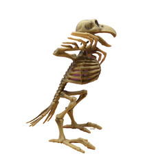 CROW SKELETON BIRD Poseable Wings & Jaw Prop Decoration 7.25″ Distressed