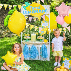 Pink and Yellow Lemon Triangle Banner Balloons Lemonade Bar Stand Supplies Amalf