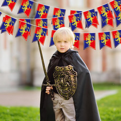 5 Pcs 49Ft Medieval Party Decorations Fantasy Pennant Banners with Lion Design K