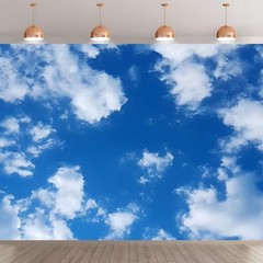 Blue Sky White Clouds Backdrop Photo Background Birthday Baby Shower Party Decor