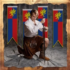 4 ft Medieval Fantasy Pull-Down Banner – Lion Design Party Decor, Castle Theme,