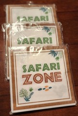 Safari Mickey Mouse Birthday Decorations