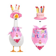 Cheerful Goose for costume Set for Outdoor Birthday Parties with Fun Accessories