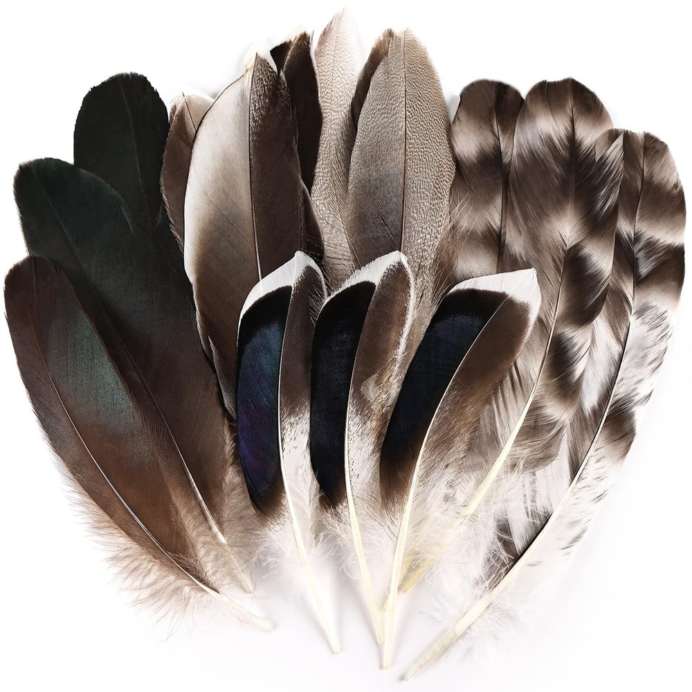Daieeparty 15pcs Pheasant Feathers 5-8inch Natural Craft Feather for Home Dec…