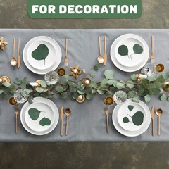 300PCS+ Real Eucalyptus Leaves for Shower – Sukh Dried Green