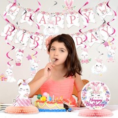 26 Pcs Easter Bunny Birthday Party Decorations Kit Supplies Bunny Birthday Ba…