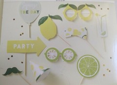 Ginger Ray Photo Booth Props, 10 Squeeze the Day Party, Lemonade Lime, NEW