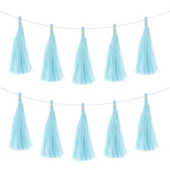 40Pcs Light Blue Tassel Garland Banner with Rope