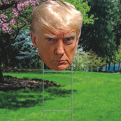 YS3039 Trump Mugshot Federal Indictment PO113509 Plastic Outdoor Yard Sign Decor