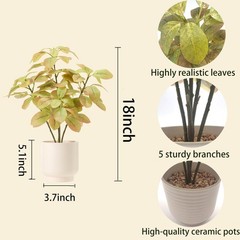 Amore Florals 18″ Fall Artificial Eucalyptus 18 inches tall, Colors