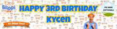 BLIP PI BIRTHDAY BANNER CUSTOM PERSONALIZED DECOR NAME PARTY PHOTO