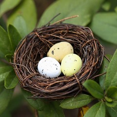 4pcs Rattan Bird Nest and Egg Decoration Prop Artificial Nest for Home Decor