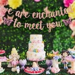 We’re Enchanted to Meet You Banner, Sweet Baby Shower Bunting Sign, Welcome B…