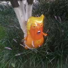 HUGE Trump Baby Blimp Balloon Balloons 47.2 inches AM I A Baby Al Film Donald