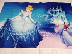 Cinderella Princess Birthday Party Supplies Party Backdrop Photo Background 5×3′