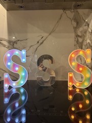 Multicolor LED Marquee Letter S Light Plastic Decorative Letter Light 3 total