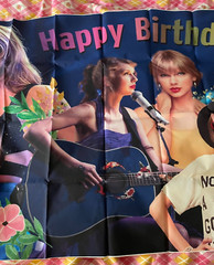 Taylor swift Birthday Banner 24 Cupcake Toppers 16 Balloons 6 Swirls& Backdrop