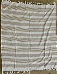 Beach Theme Party Lot (Dusty Blue/ Tan) Beach Theme Decor