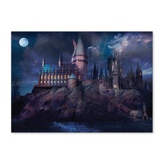 ConQuest Journals Harry Potter Hogwarts Castle at Night Backdrop Wall Banner,…