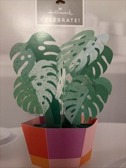 Hallmark Celebrate Pop Up Decor Table Centerpiece Plant Celebration Party