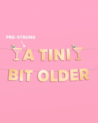 a Tini Bit Older Gold Foil Banner – 5 Ft. | Martini Decoration, Birthday Party S