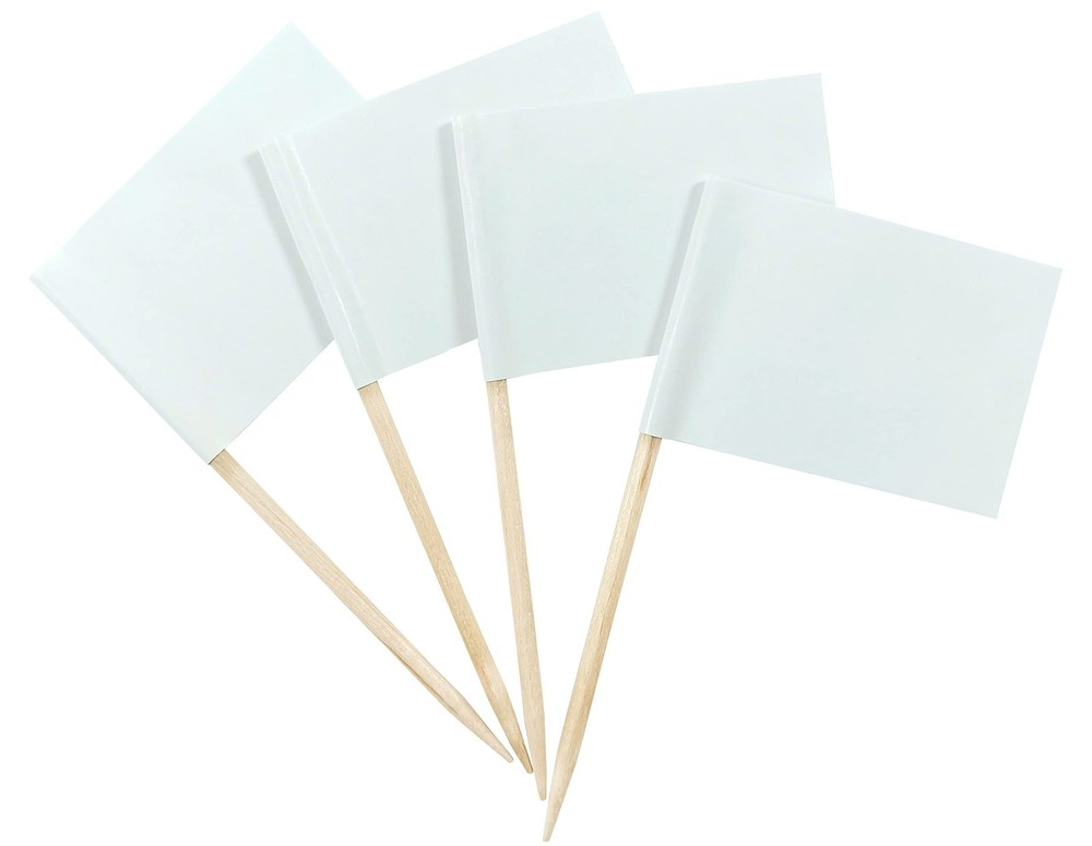 QQSD Solid White Toothpick Flag DIY Blank Flag Small Mini Plain White Cupcake…