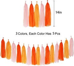 Pink and Orange Birthday Party Decorations, Hot Pink Party Decorations for Women